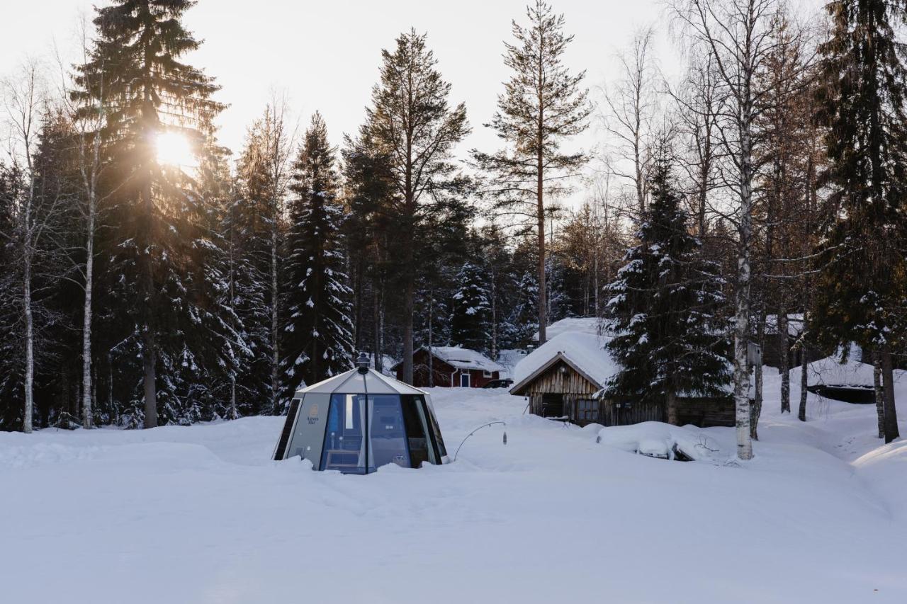 Ollero Eco Lodge Rovaniemi Kültér fotó