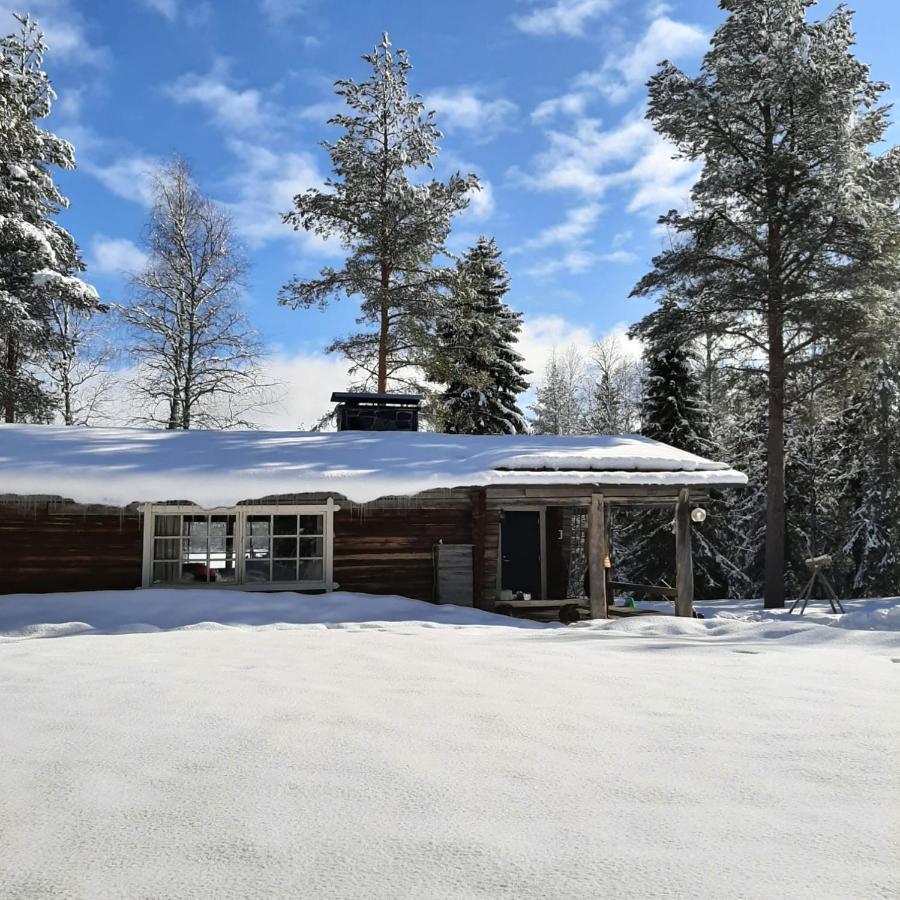 Ollero Eco Lodge Rovaniemi Kültér fotó