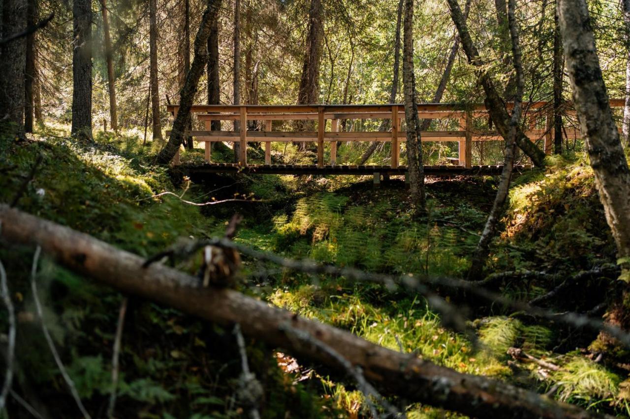 Ollero Eco Lodge Rovaniemi Kültér fotó