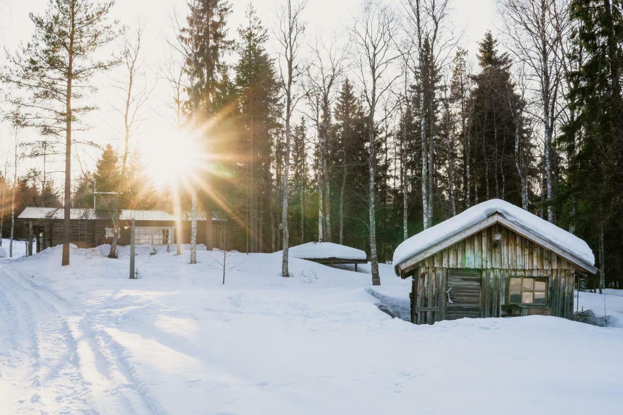 Ollero Eco Lodge Rovaniemi Kültér fotó
