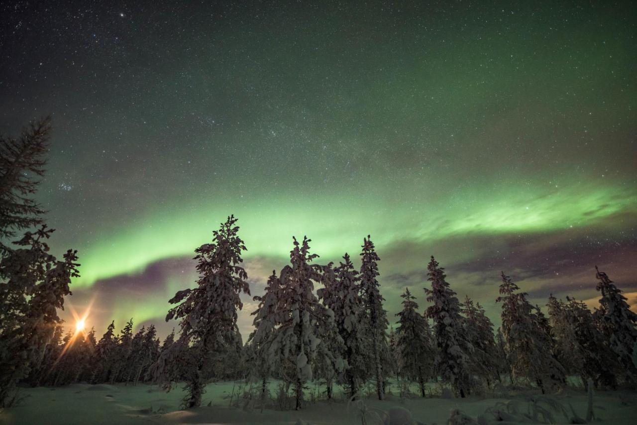 Ollero Eco Lodge Rovaniemi Kültér fotó